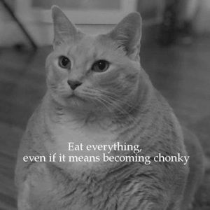 Meet your Posher, Christy